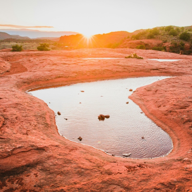 kaileen-fitzpatrick-FcyEbme9cEA-unsplash