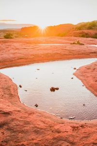 kaileen-fitzpatrick-FcyEbme9cEA-unsplash