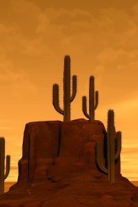 kalhh-desert-2751810_1920